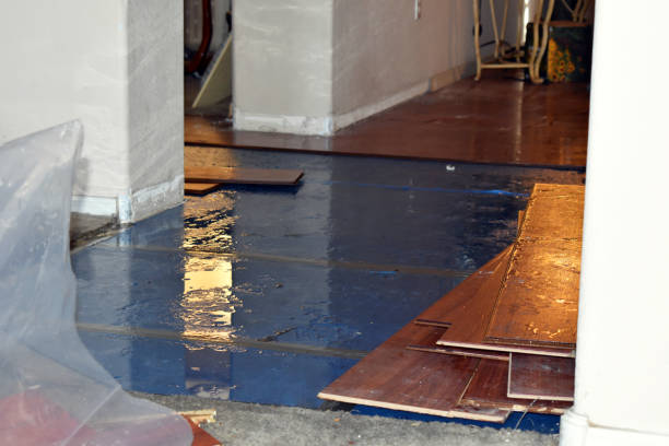 Professional Emergency Water Damage Restoration technician working in Middleport, OH